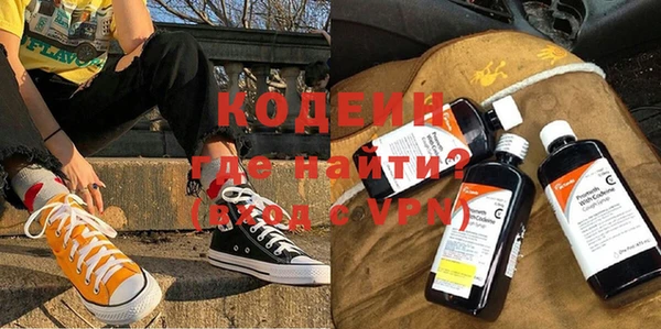 шишки Корсаков