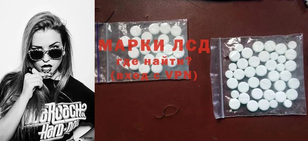 шишки Корсаков