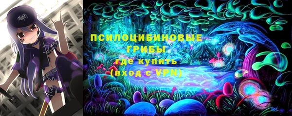 амф Костерёво