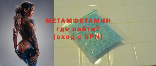 шишки Корсаков