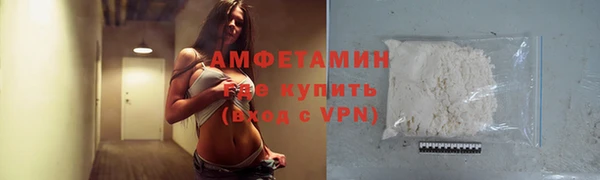 шишки Корсаков