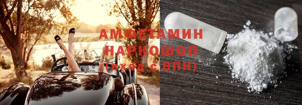 шишки Корсаков