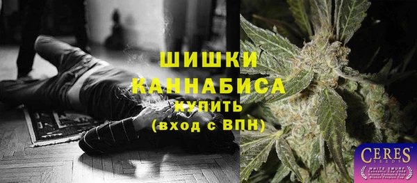 шишки Корсаков