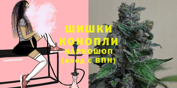 шишки Корсаков