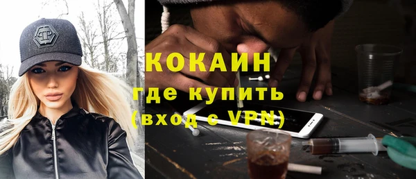 шишки Корсаков